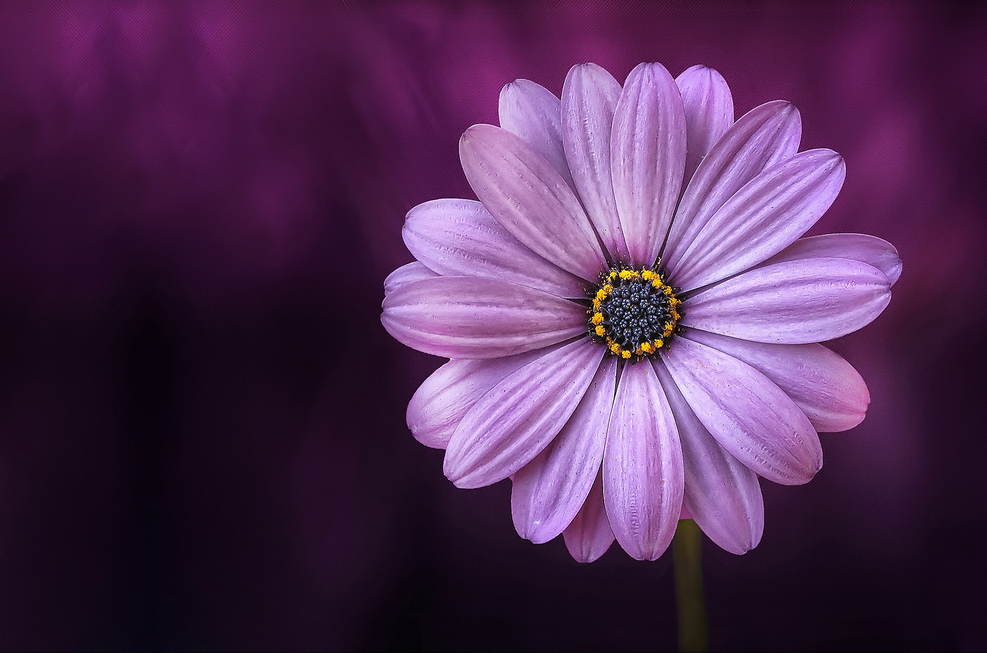 Women Relationship & life Coaching
